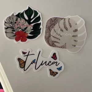 Set of three Toluca Swim Stickers